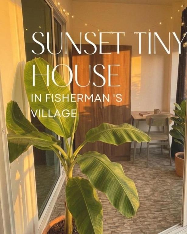 a plant in a vase sitting in a room at Sunset tiny house near fisherman village in Bophut