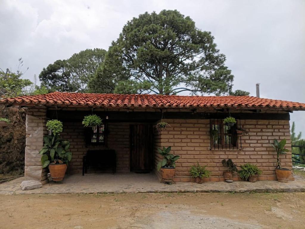 a small brick house with plants in it at Cabaña El Fresno in La Petaca