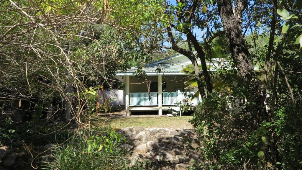a house is seen through the trees at Lanas Cottage in Arcadia