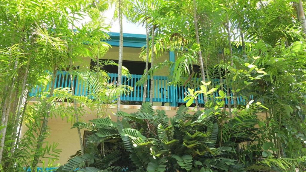 a building with a blue fence in the middle of trees at Magnetic Reef 7 in Arcadia
