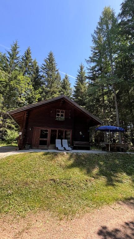 a large wooden cabin with a grass field in front of it at Ferienhütte Hochalm in Lunz am See
