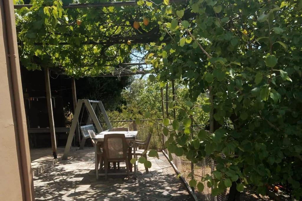 a patio with a table and chairs under a tree at Riverbird House in Kymi