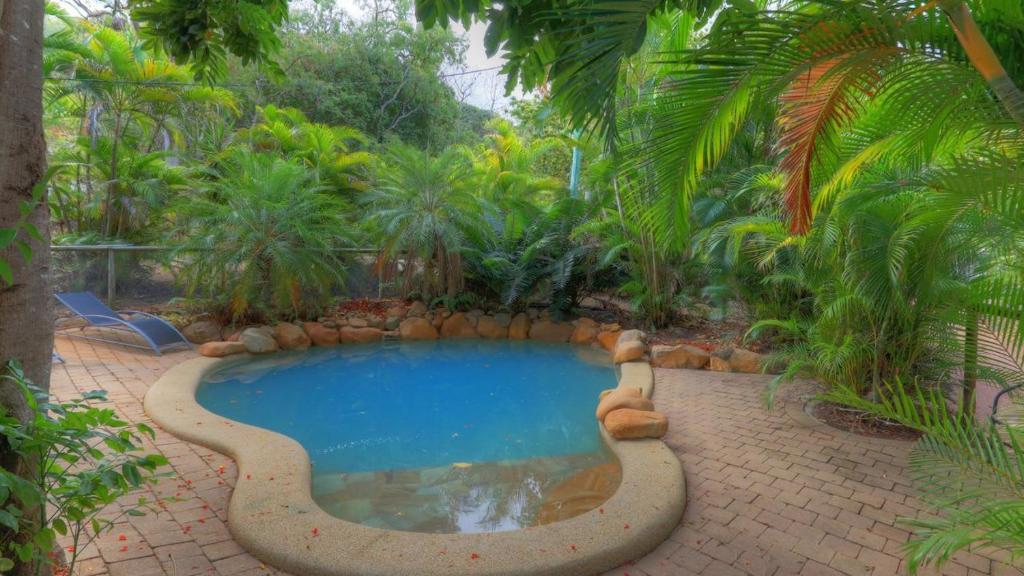 a pool in a garden with a teddy bear next to it at Loyang Apartment 1 in Arcadia