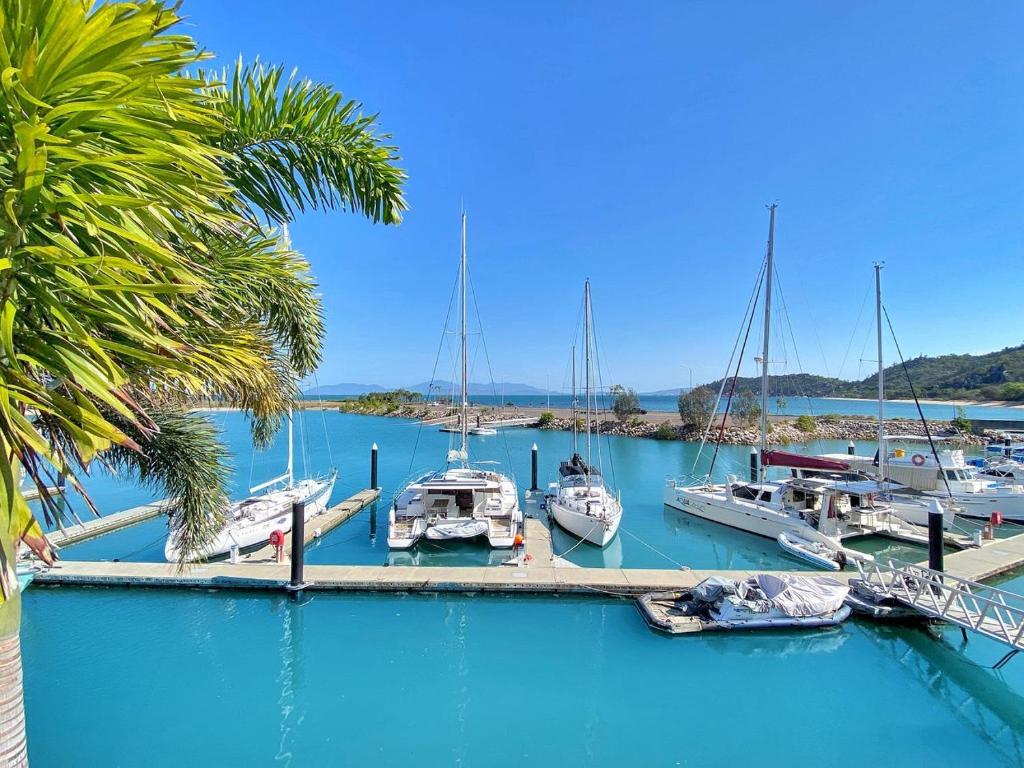 a group of boats docked in a marina with a palm tree at Waters Edge Townhouse 4 in Nelly Bay