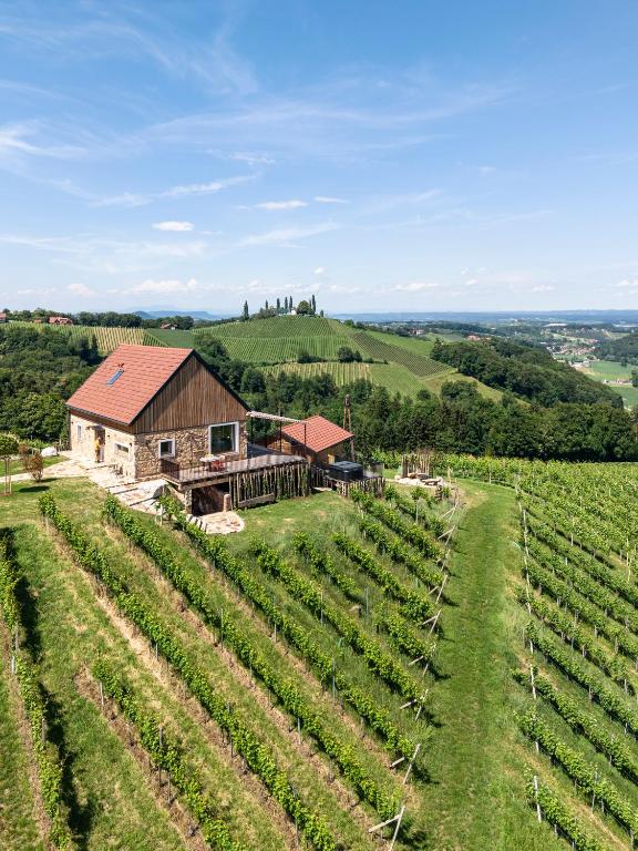 an aerial view of a vineyard with a barn at steiRerBLiCke - Weinstöckl Steinbach in Steinbach