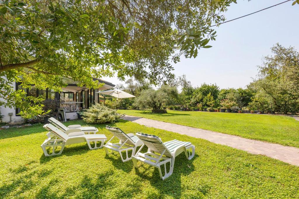 a group of chairs sitting on the grass in front of a house at Agriturismo La Fredda in Sommacampagna