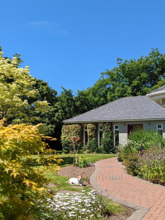 a house with a brick walkway in front of a yard at Applecroft House in Killarney