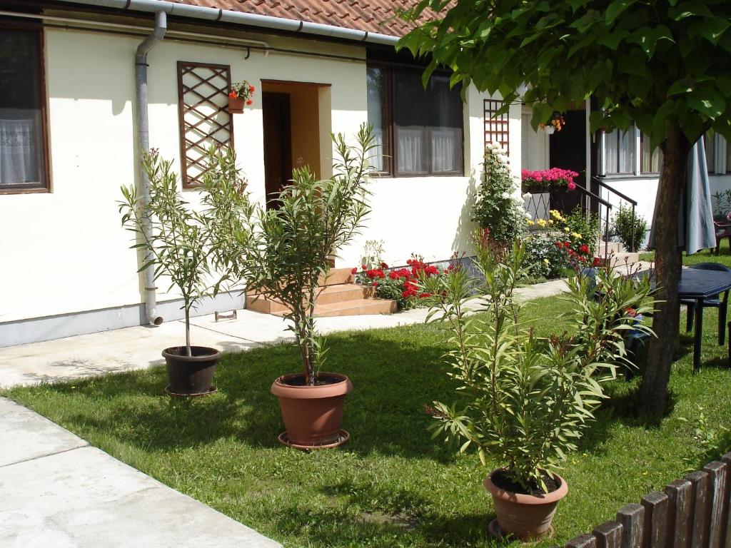 Rózsa Apartman - Apartment With Garden View