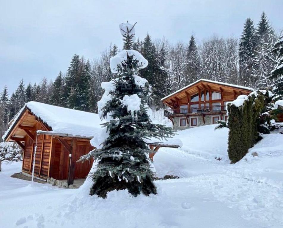 a snow covered christmas tree in front of a cabin at Edenblanc in Arâches-la-Frasse