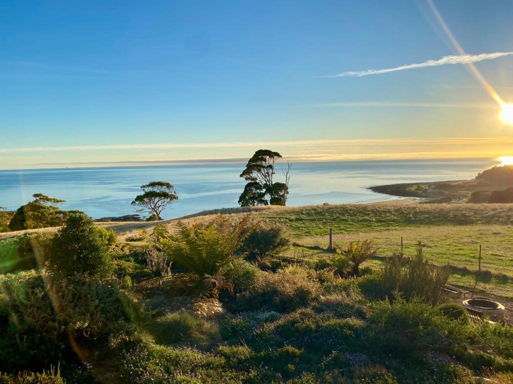 a view of the ocean from a hill with trees at Penguin Seaside Farm in Penguin