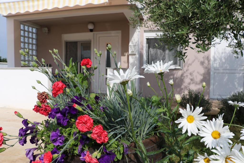 bukiet kwiatów przed domem w obiekcie Apartments Zaton Draga w mieście Zaton