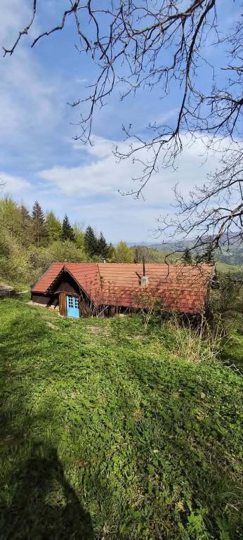a house with a red roof in a field at Ostaya - Mountain Cottage in Obidza