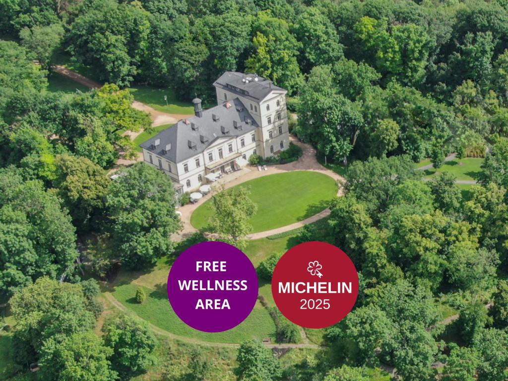 an aerial view of a large house in the woods at Chateau Mcely in Mcely