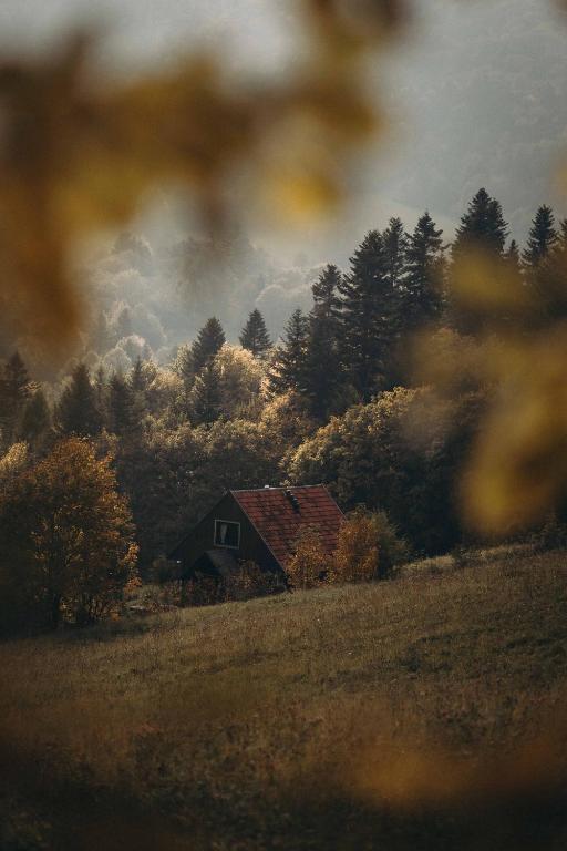 a barn in the middle of a field with trees at Mech i brzoza in Baligród
