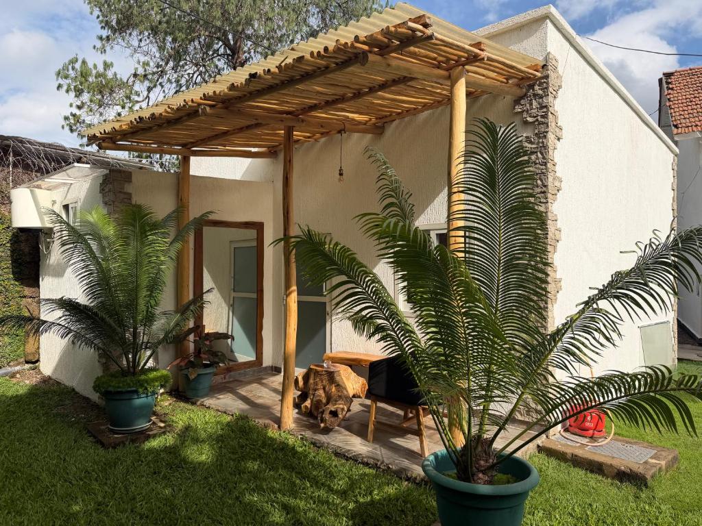 a house with a dog sitting in front of it at City Retreat Studio X in Arusha