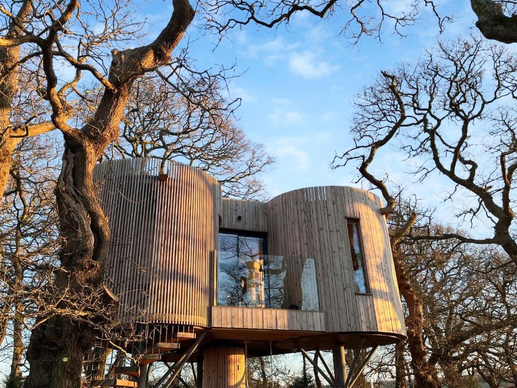 a treehouse built around a tree at The Treehouse Caerlaverock - Uk45028 in Carsethorn