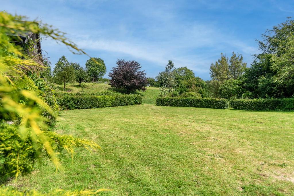 a large grassy field with trees and bushes at Treetop View - Old Mill Cottages in Ilfracombe