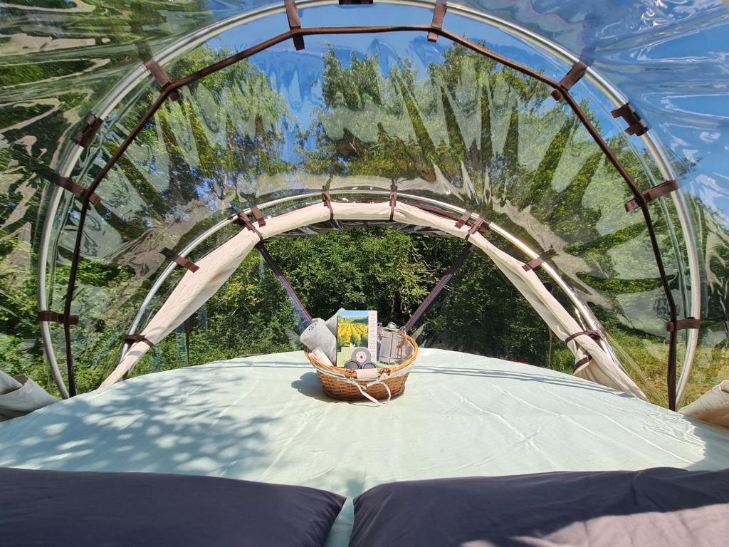 a glass igloo with a basket in the middle at La Noisette Basque - Nuits au verger in Saint-Pée-sur-Nivelle
