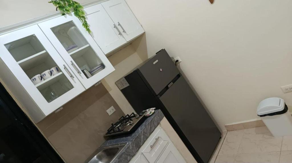 a kitchen with a sink and a black refrigerator at Katty House in Santa Bárbara de Samaná