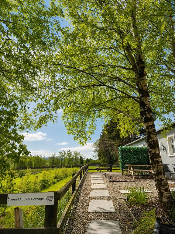 a tree and a bench next to a fence at Birch Valley Accommodation Tinahely Wicklow in Killicreny Bridge