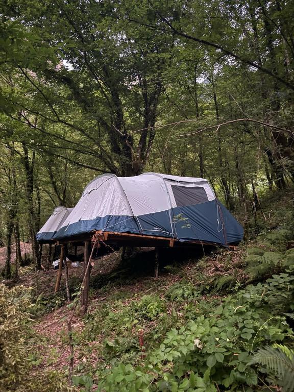 a tent sitting in the middle of a forest at Gio Camping Shala River in Mollʼ e Shoshit