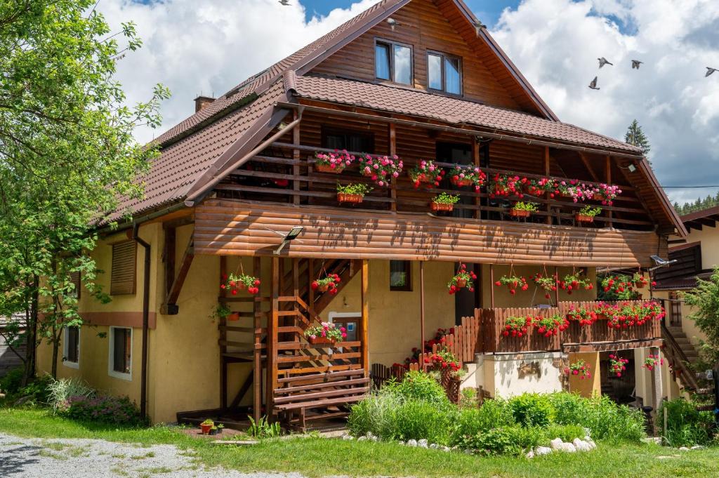 O grădină în afara Pensiunea Viorica