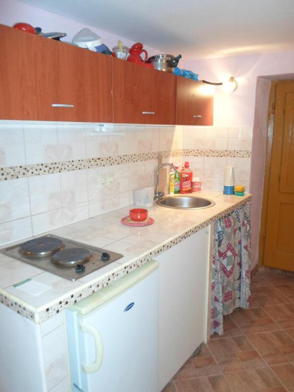 Kuchyňa alebo kuchynka v ubytovaní Apartment IVANKA -KROK