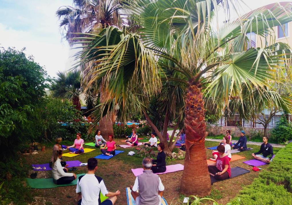 a group of people doing yoga under a palm tree at Papirus Hotel in Adrasan