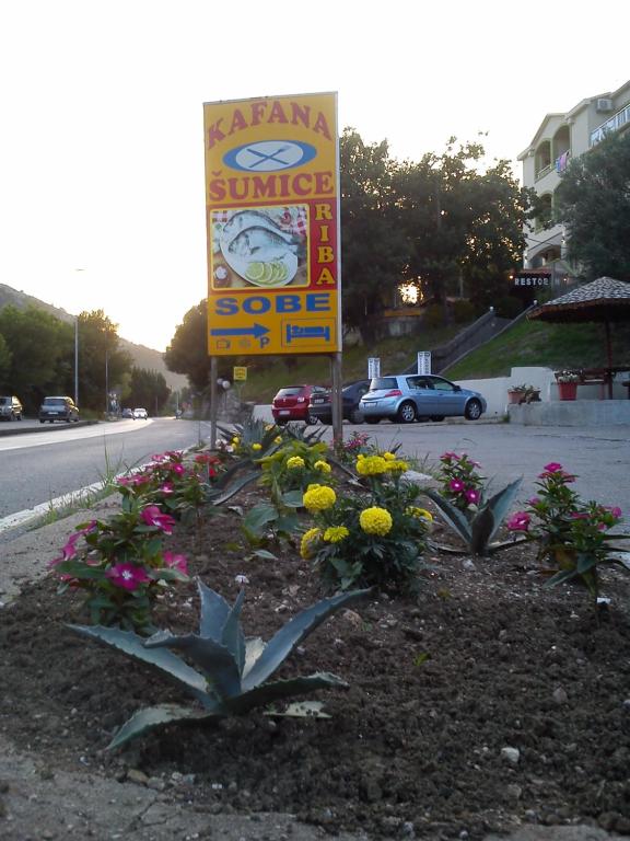 Zahrada ubytování Sumice Inn