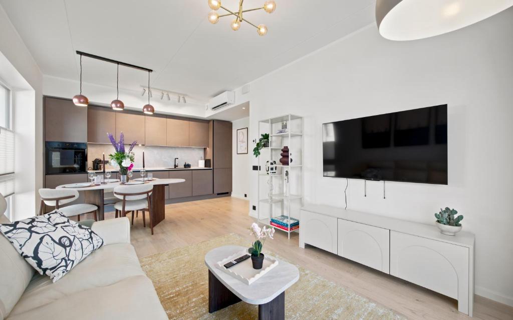 a living room and kitchen with a couch and a tv at Barberry Apartments in Raadi