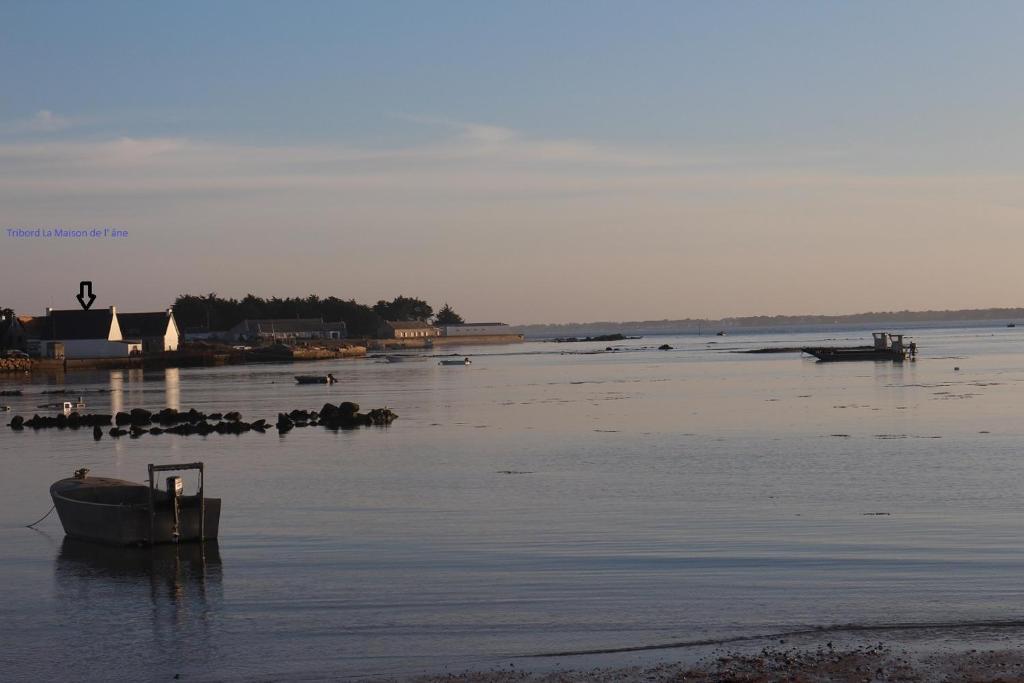 un barco sentado en el agua en una playa en Tribord la Maison de l'âne, en Carnac