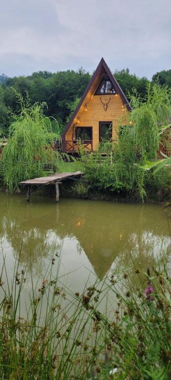 ein Haus, das neben einem Gewässer liegt in der Unterkunft Cabanuta Lunca in Lunca