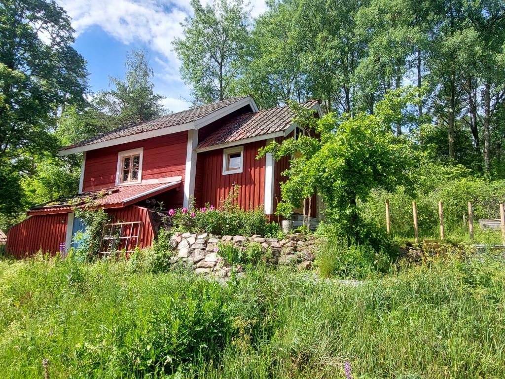 a red house in a field of grass at Humlebo stuga med bastu in Söderköping
