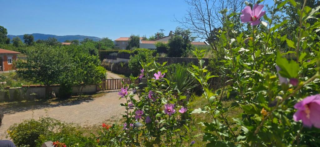 a garden with pink flowers in a yard at Studio Apartment Loly in Nedeščina