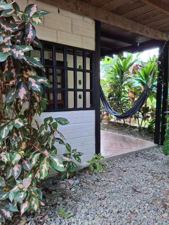 a building with a door with a window at BlueBayou.capurgana in Capurganá