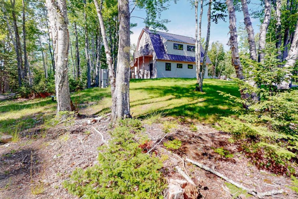 a house in the middle of a forest with trees at Cozy and modern hideaway - walk to the beach - fast WiFi & washer/dryer in Marlboro