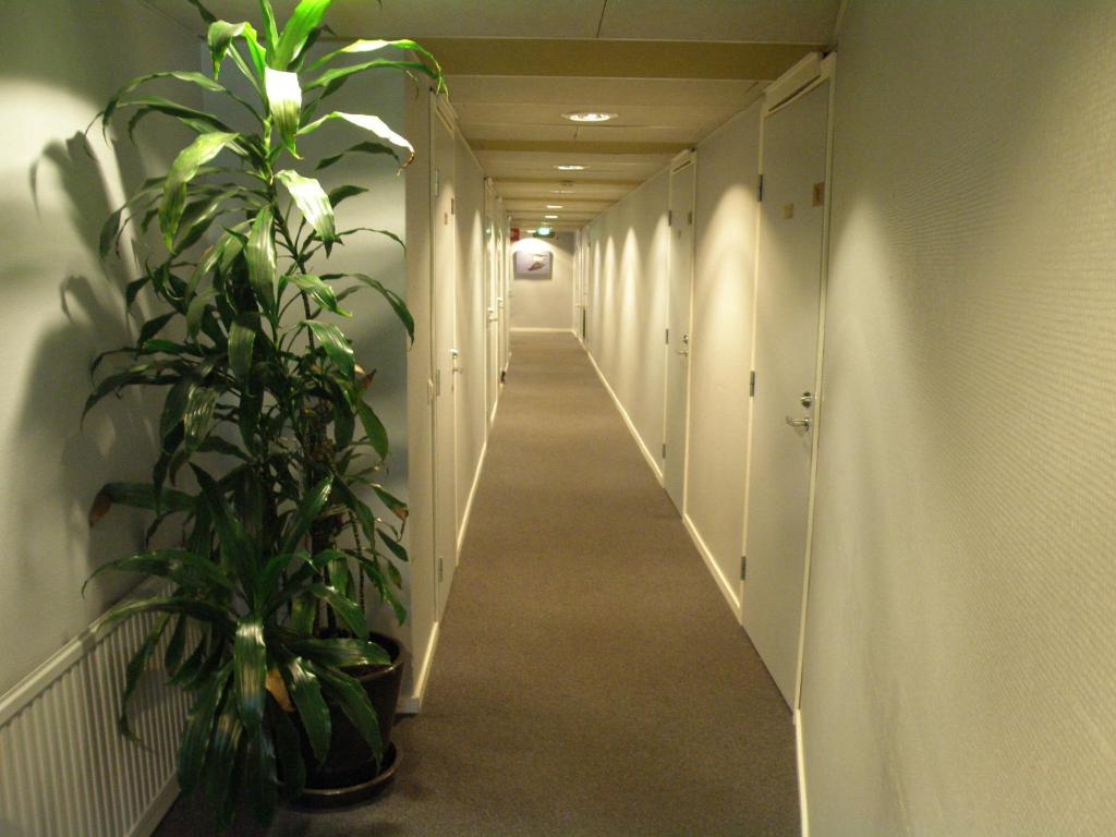 Finlandia Hotel Airport Oulu - Economy Single Room