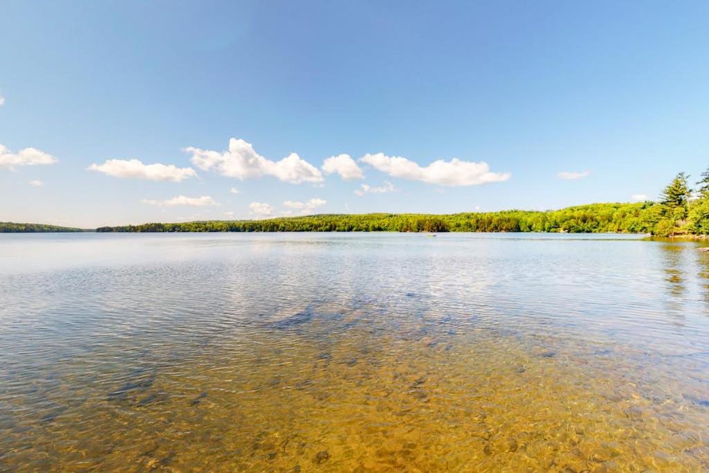 a large body of water with trees in the background at Waterfront cabin w/ outdoor firepit, dock, and lake views - dogs welcome in Greenville