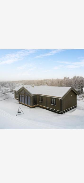 a house in the snow with a roof at Trudvang in Tänndalen
