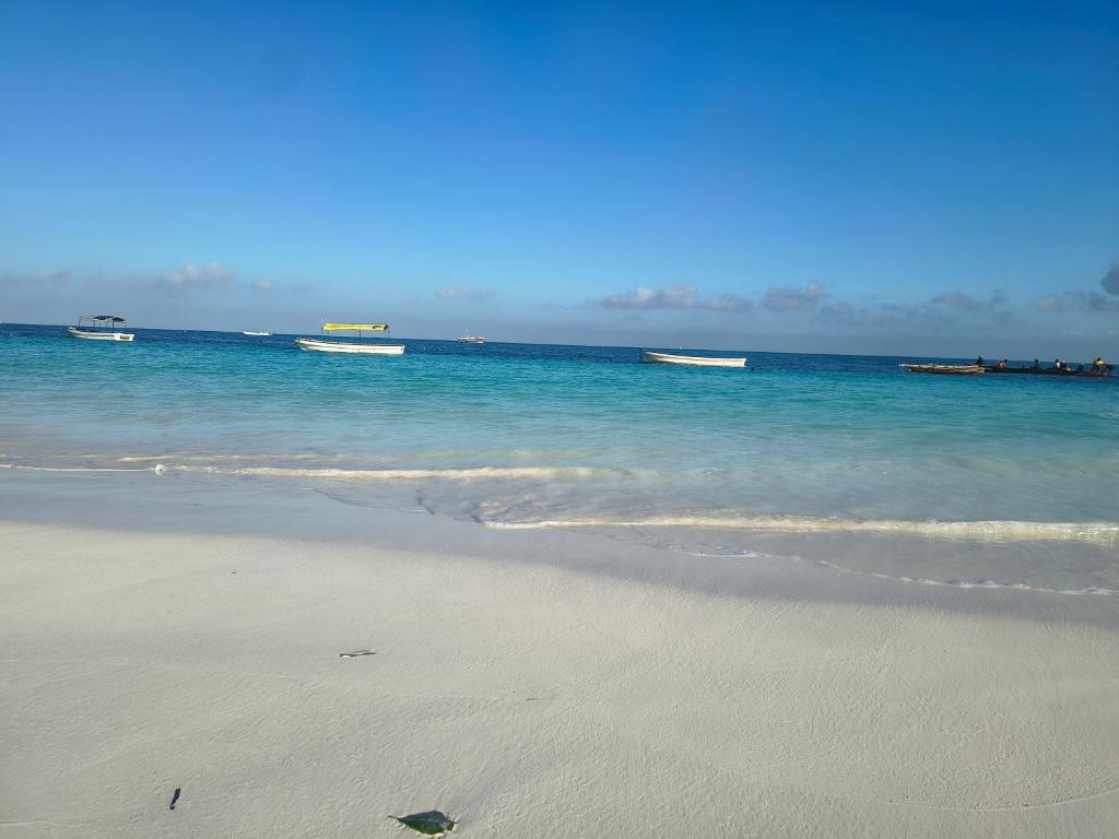 a beach with the ocean and boats in the water at ROHO-Residence in Nungwi