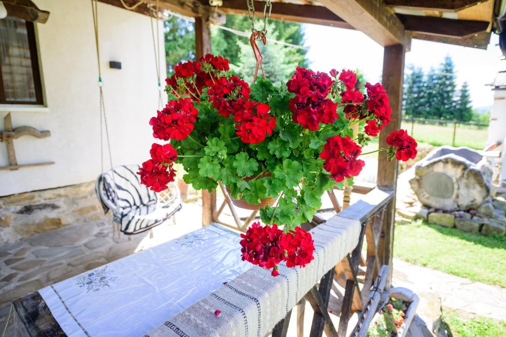 a table with red geraniums on a patio at Doru' Bucovinei in Moldoviţa