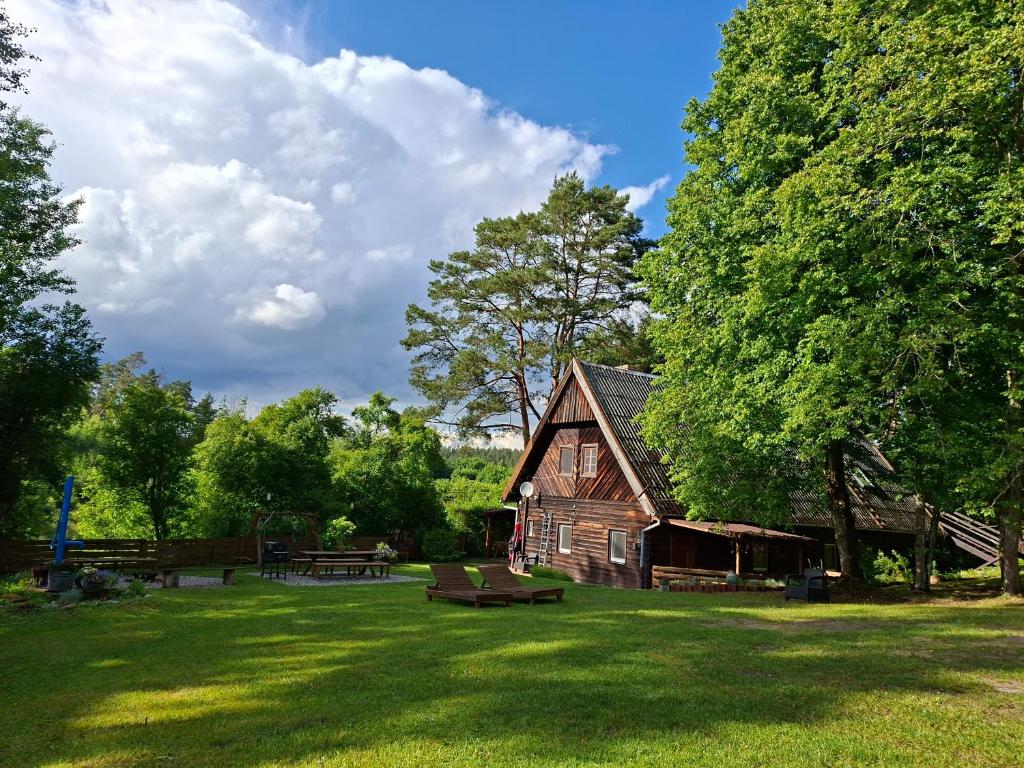 a wooden cabin in a grassy field with a bench at Chatka Kurki in Kurki