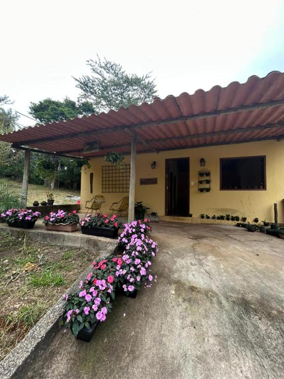 a group of flowers in front of a building at Pousada Santa Rita in Amarantina