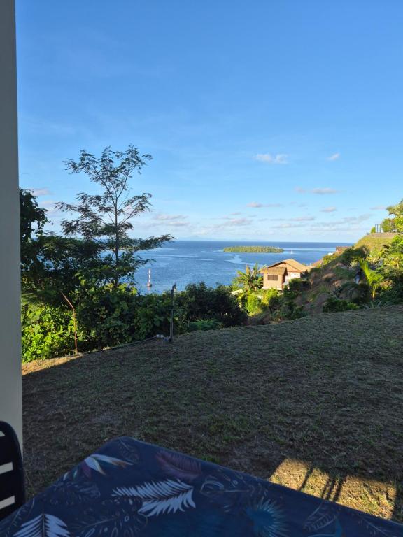 Fare Hanihau - photo 9 - Raiatea, Polynésie