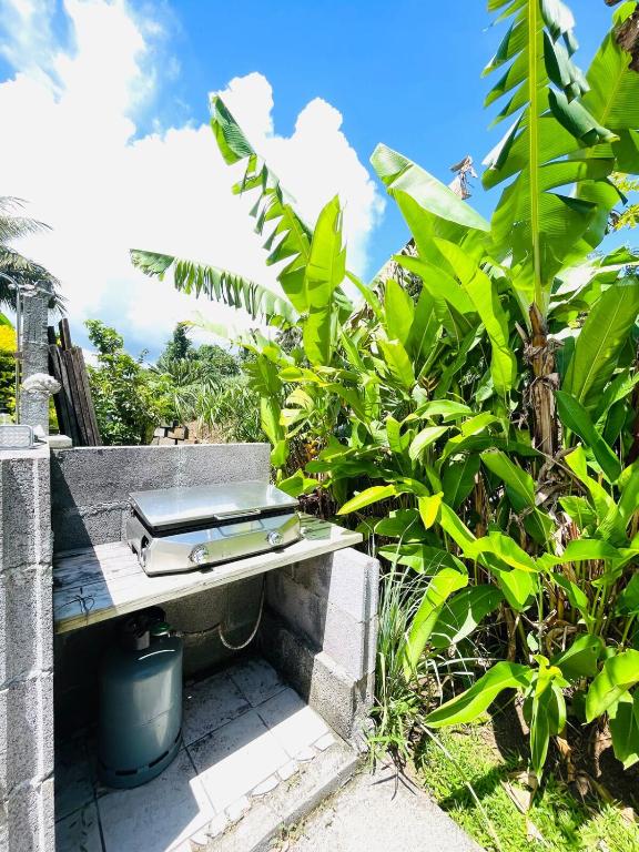 Gîte Aoma - photo 11 - Tahiti, Polynésie