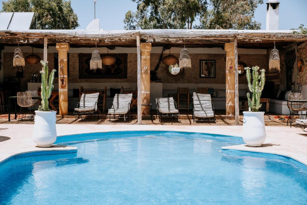a pool with chairs and cactuses in front of a house at Riad Eucalyptus, hôtel de charme Essaouira in Essaouira
