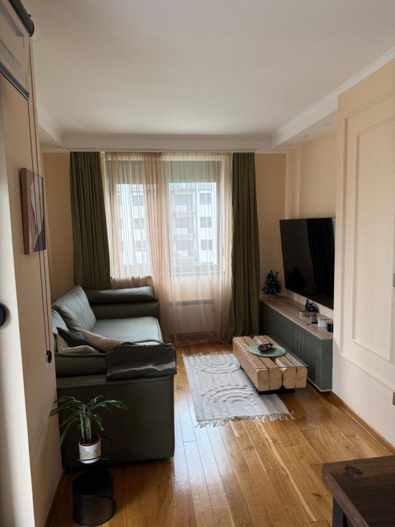 a living room with a couch and a flat screen tv at Amara in Zlatibor