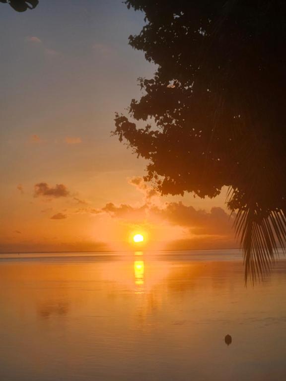 Bungalow paradisiaque en bord de lagon Fare Ananda - photo 11 - Moorea, Polynésie