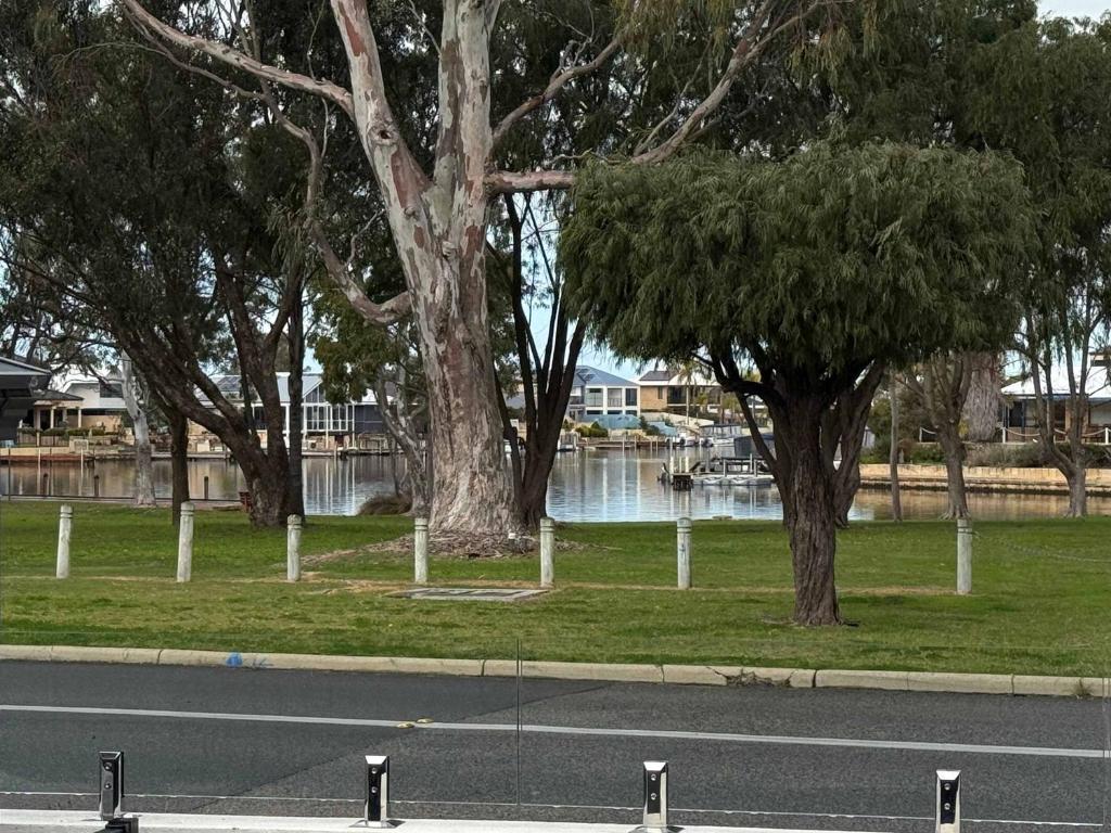 a street with trees on the side of a road at Waterlink Retreat in South Yunderup