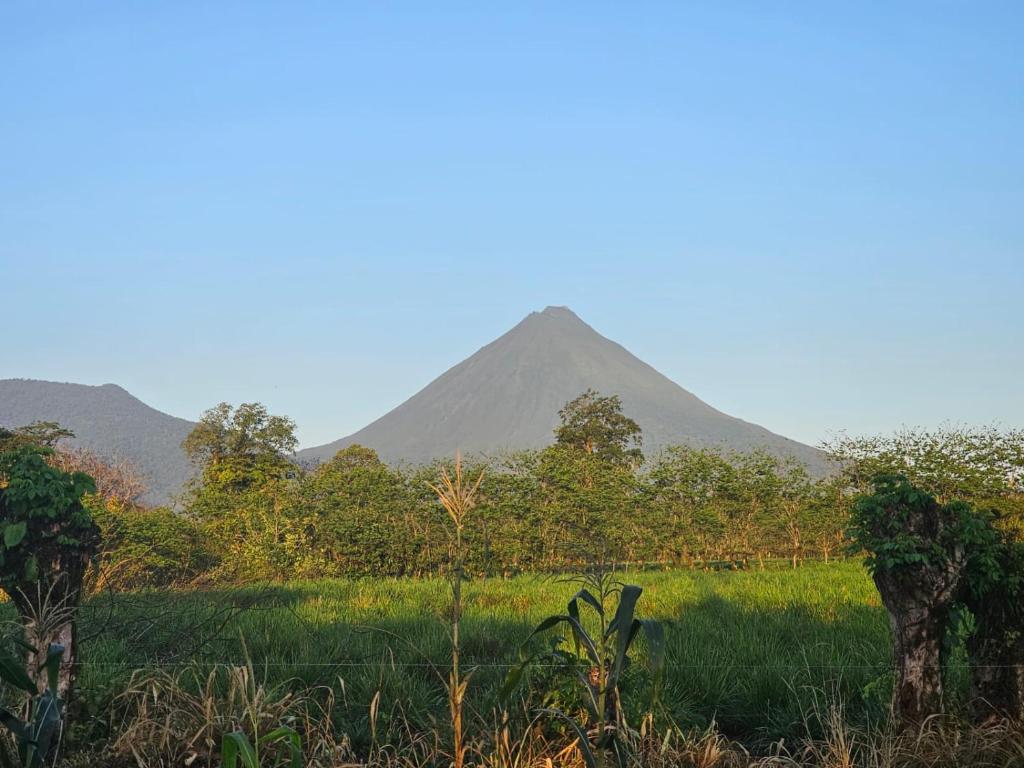 a mountain in the distance with a field and trees at Divina Naturaleza in Agua Azul